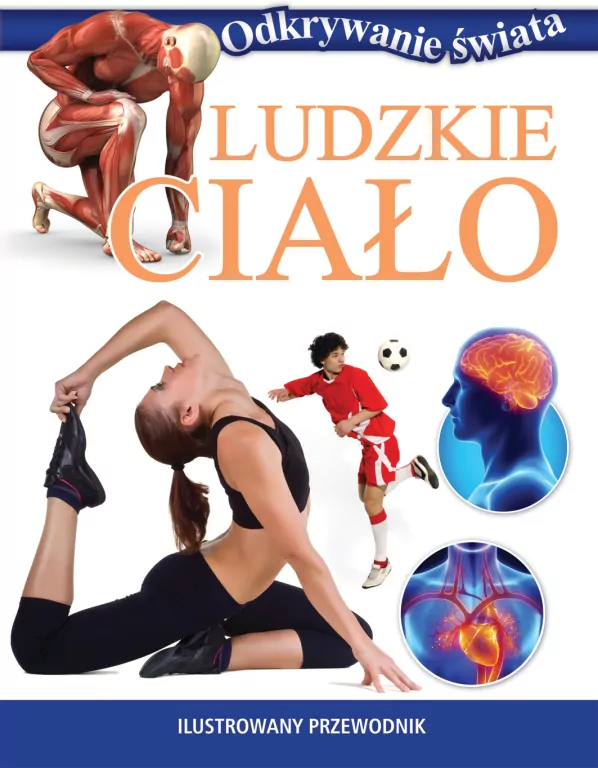 Odkrywanie świata. Ludzkie ciało - tantis.pl