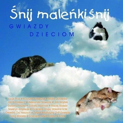 Śnij maleńki śnij CD - tantis.pl