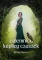 Tajemnica Kaplicy Czaszek - tantis.pl