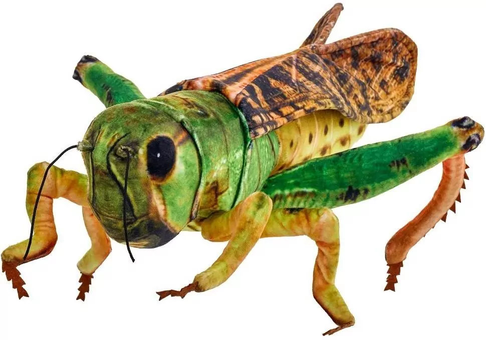 Konik polny 41cm - tantis.pl