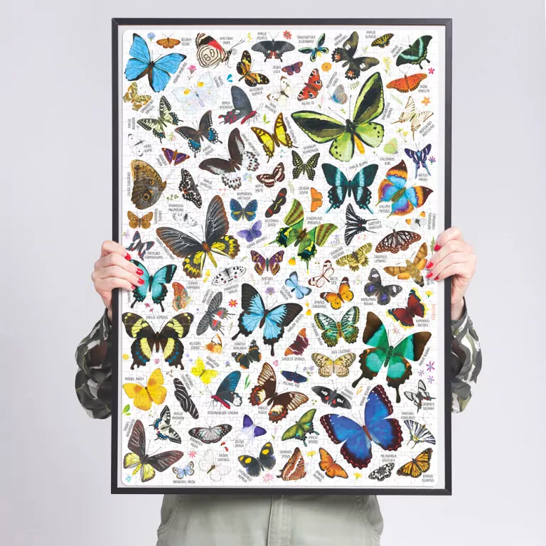 CzuCzu. Puzzlove. Motyle 1000 el. - tantis.pl