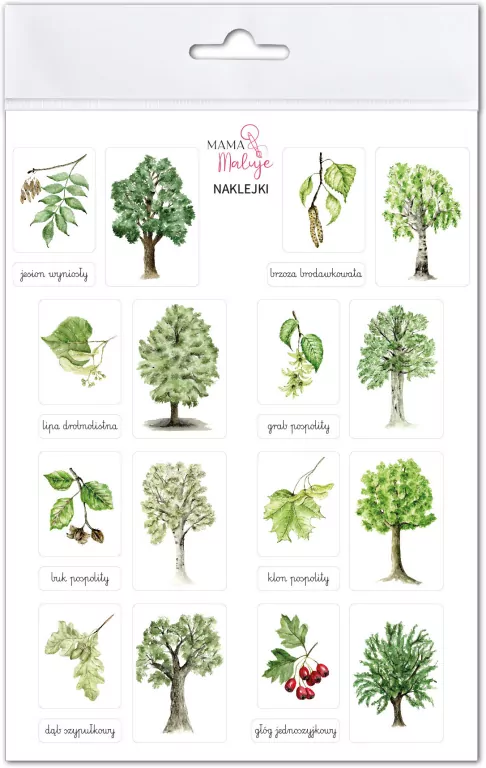 Naklejki Drzewa 1 - tantis.pl