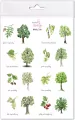 Naklejki Drzewa 1 - tantis.pl