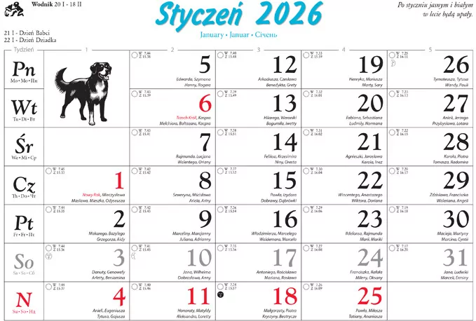 Kalendarz 2026 rodzinny Psy domowe - tantis.pl