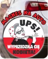 Magnes na auto UPS - tantis.pl
