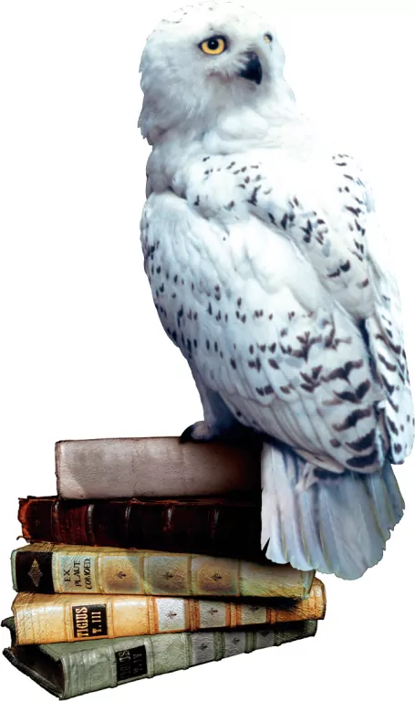 Harry Potter i Czytacz Myśli - tantis.pl