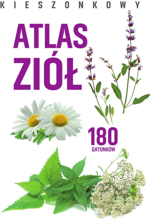 Kieszonkowy atlas ziół. 180 gatunków - tantis.pl