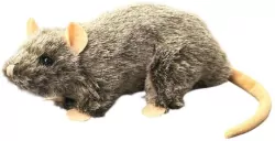 Szczur 20cm MIX