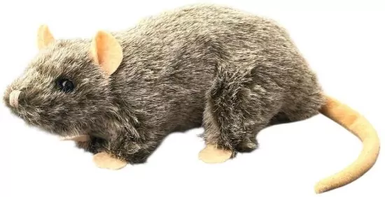 Szczur 20cm MIX