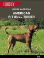 American pit bull terier - tantis.pl