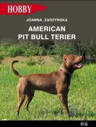 American pit bull terier