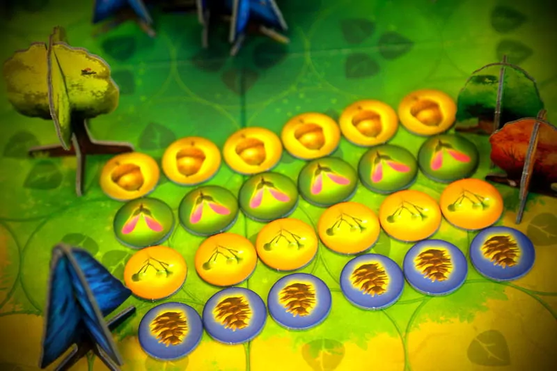 Fotosynteza - tantis.pl