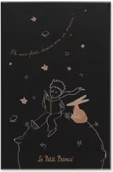 Notes L linie Pro Mały Książę