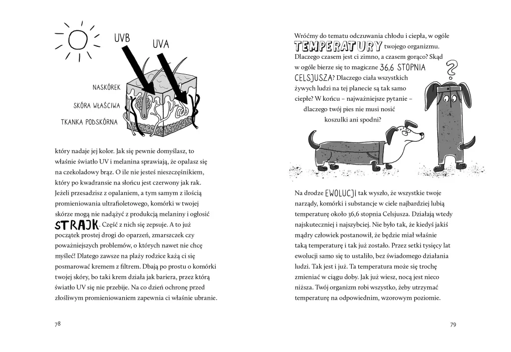 Bebechy, czyli ciało człowieka pod lupą - tantis.pl