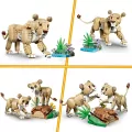 LEGO® Dzikie zwierzęta: Dumny lew 31386 - tantis.pl