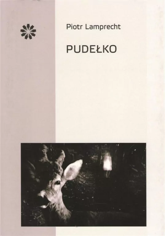 Pudełko - tantis.pl