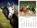 Kalendarz 2026 ścienny Konie - tantis.pl