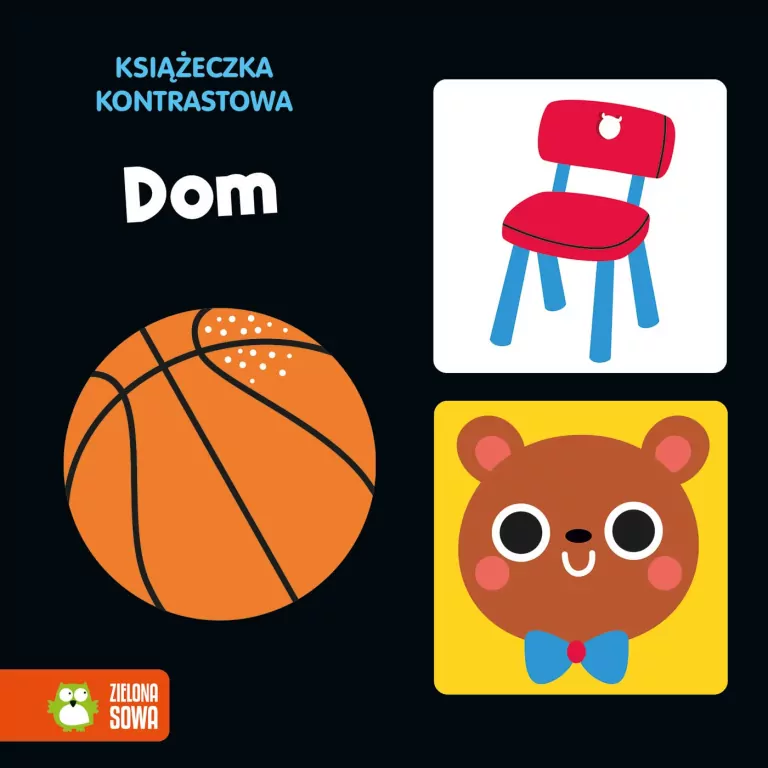 Książeczka kontrastowa. Dom - tantis.pl