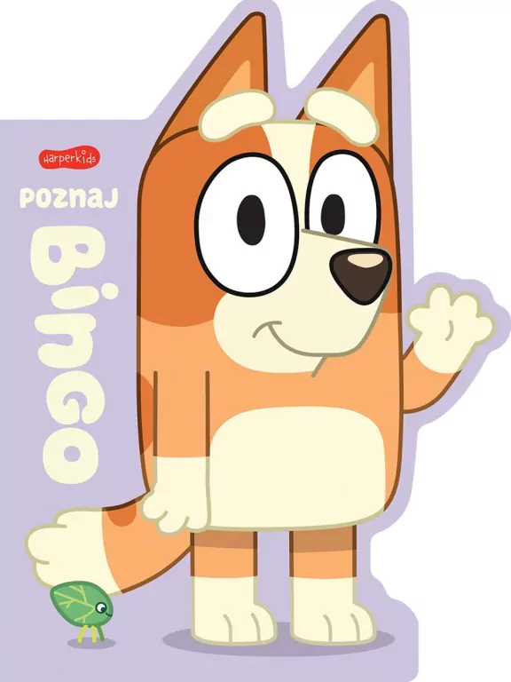 Poznaj Bingo - tantis.pl