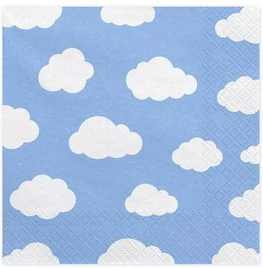 Serwetki Samolocik 33x33cm - tantis.pl