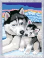 Ravensburger. CreArt dla dzieci: Husky - tantis.pl
