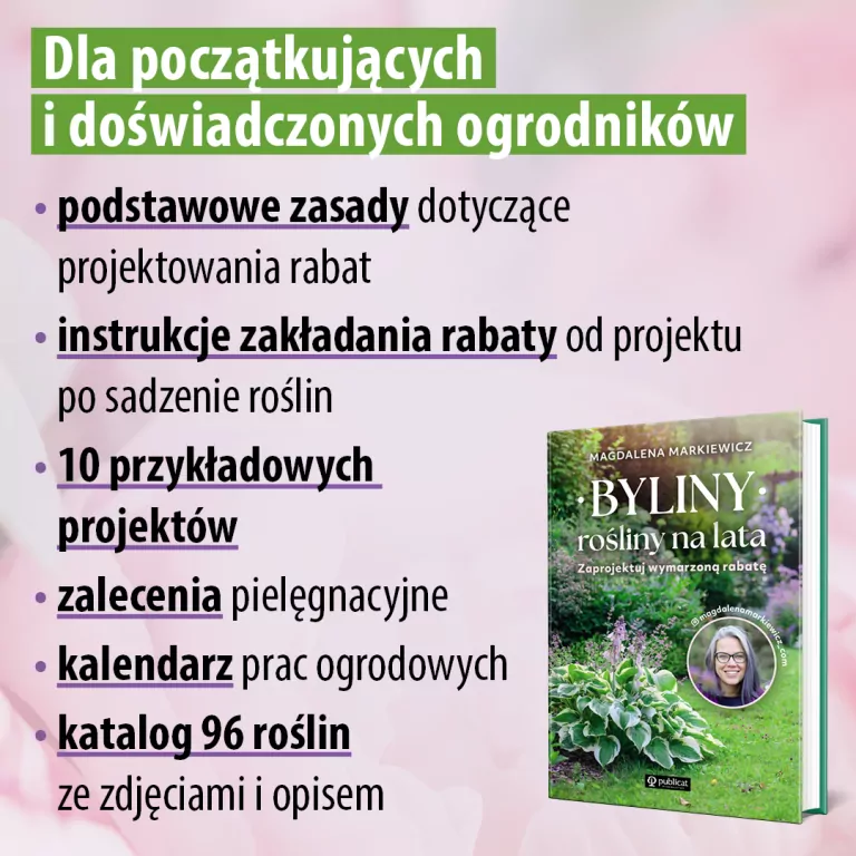 Byliny: rośliny na lata. Zaprojektuj wymarzoną rabatę - tantis.pl