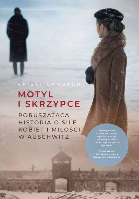 Motyl i skrzypce. Wyd. specjalne - tantis.pl