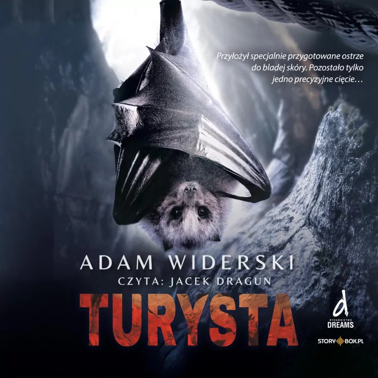 CD MP3 Turysta. Audiobook - tantis.pl