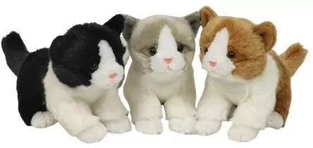 Kotki 18cm mix - tantis.pl