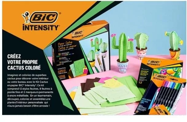 Zestaw Intensity Paper Cactus BIC - tantis.pl