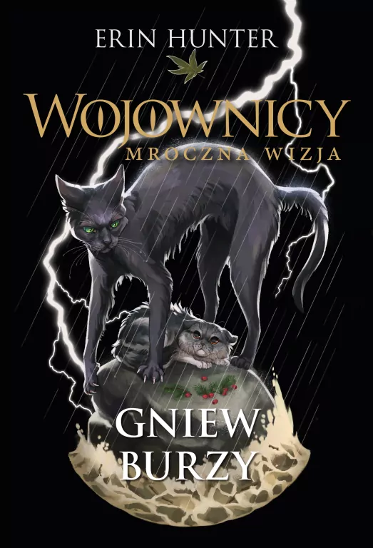 Gniew burzy. Wojownicy. Mroczna wizja. Tom 6 - tantis.pl