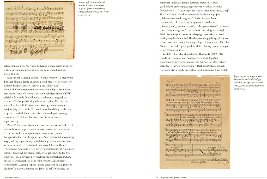 Orkiestra szaleńca - tantis.pl