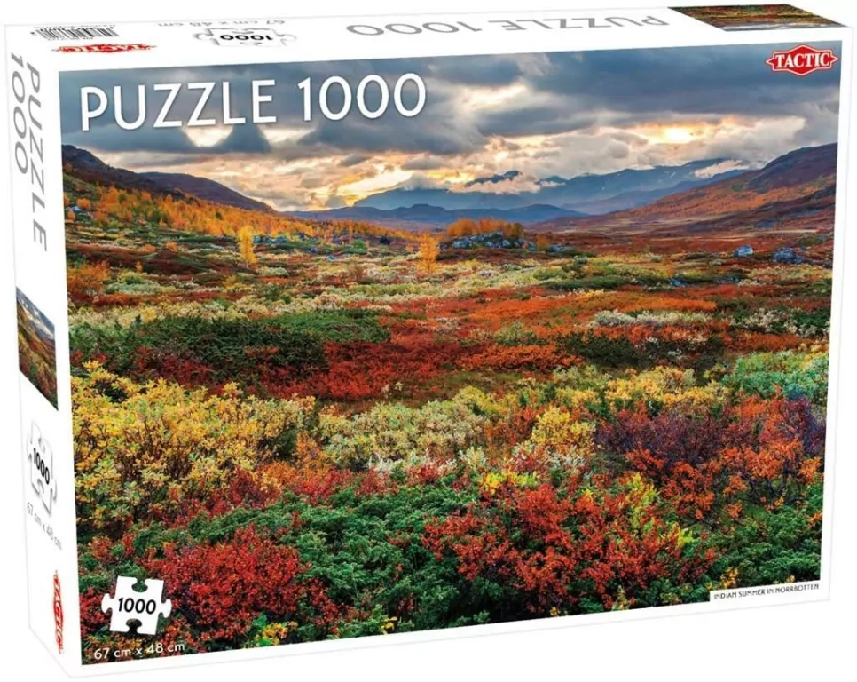 Puzzle Indian Summer in Norrbotten 1000 - tantis.pl