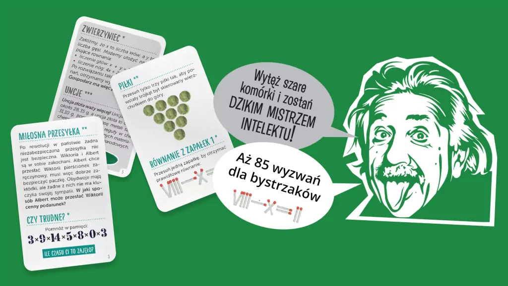 Dzika logika. Zagadki i łamigłówki - tantis.pl