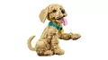 LEGO® Icons. Szczeniak golden retriever 11384 - tantis.pl