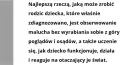 Autyzm i edukacja. O czym powinni wiedzieć rodzice i nauczyciele - tantis.pl