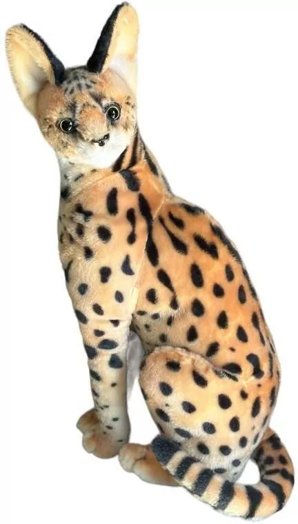 Serwal 49cm - tantis.pl