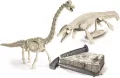 Skamieniałości. Jurassic World - tantis.pl