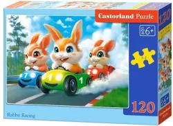 Puzzle 60 Rabbit Racing CASTOR