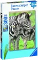 Puzzle XXL 300. Zebry - tantis.pl