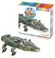 Aligator do pływania - tantis.pl