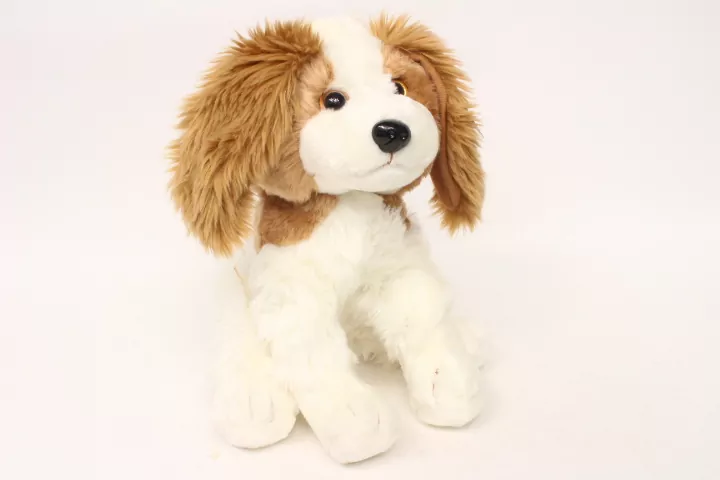 Piesek biało-brązowy - tantis.pl