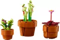 LEGO® Icons. Małe roślinki 10329 - tantis.pl