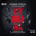 Komisarz Iwona Banach T.1 Wybrana audiobook - tantis.pl