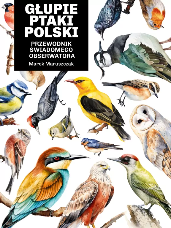 Głupie ptaki Polski. Przewodnik świadomego obserwatora - tantis.pl