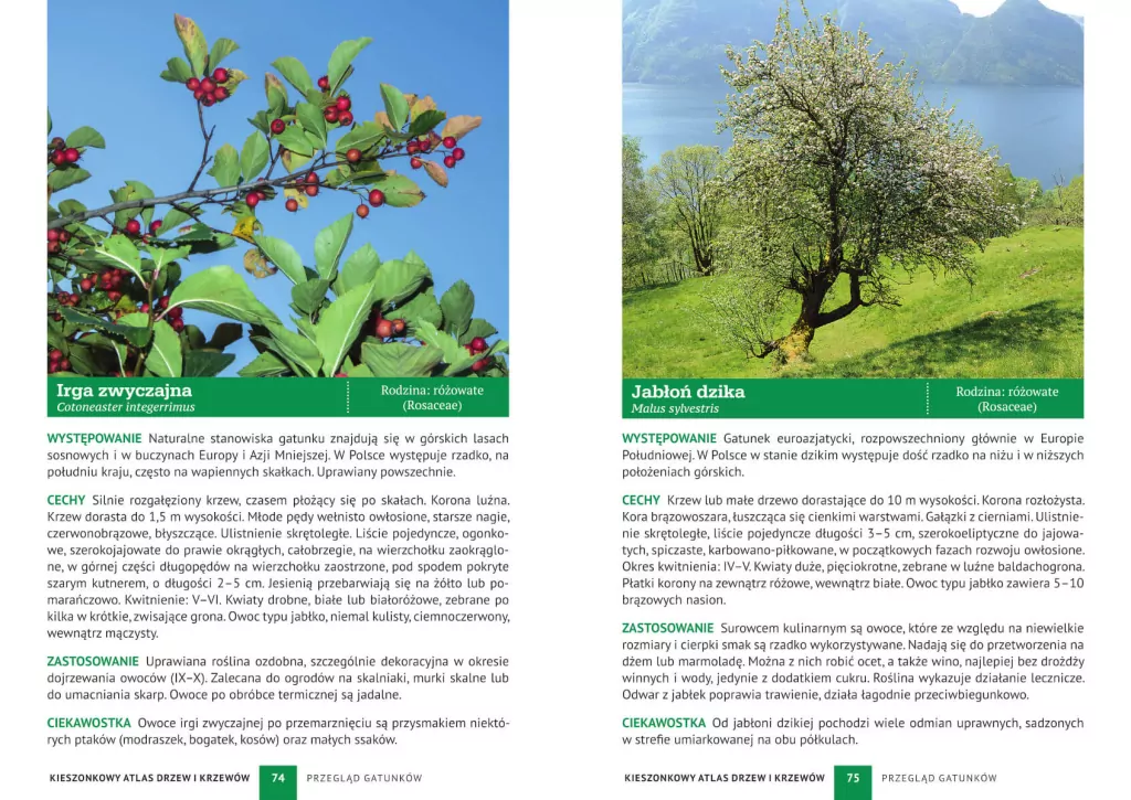 Kieszonkowy atlas drzew i krzewów. 180 gatunków - tantis.pl