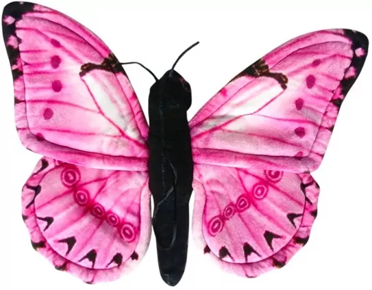 Motyl monarcha różowy - tantis.pl
