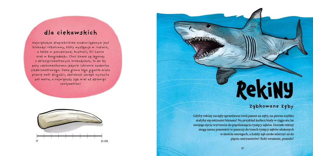 Zęby, ciosy i siekacze - tantis.pl