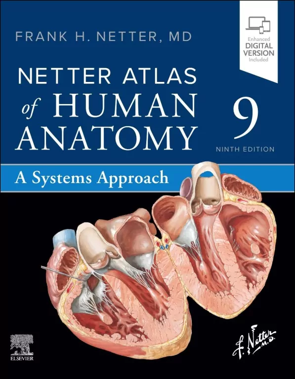 Netter Atlas of Human Anatomy . A Systems Approach - tantis.pl