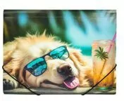 Teczka A4 PP z nadrukiem Chillout Dog - tantis.pl